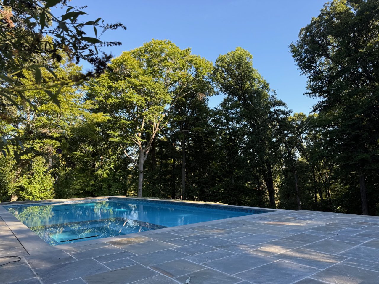 Backyard pool surrounded by lush green trees.